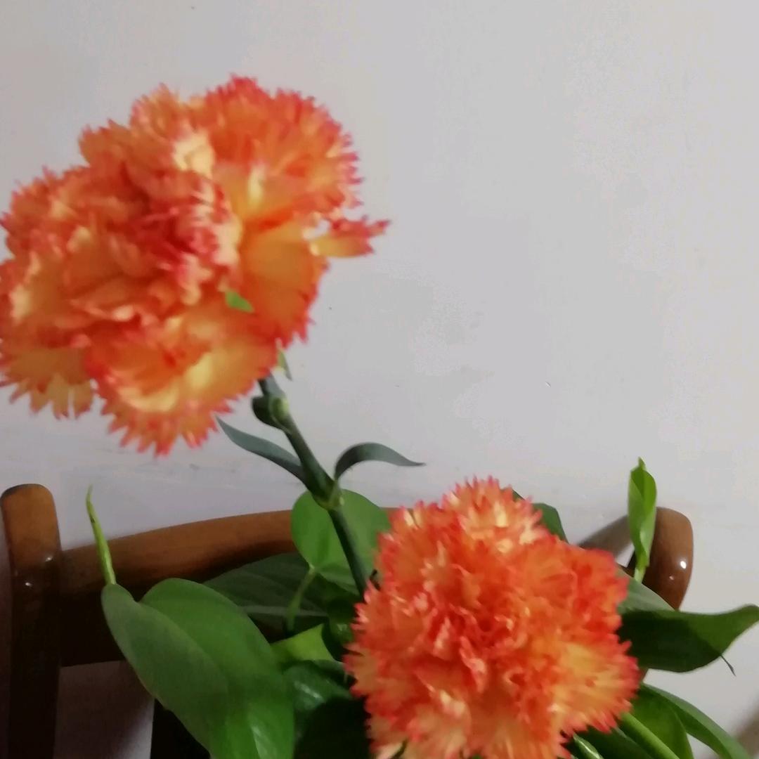 晨暖的贴心