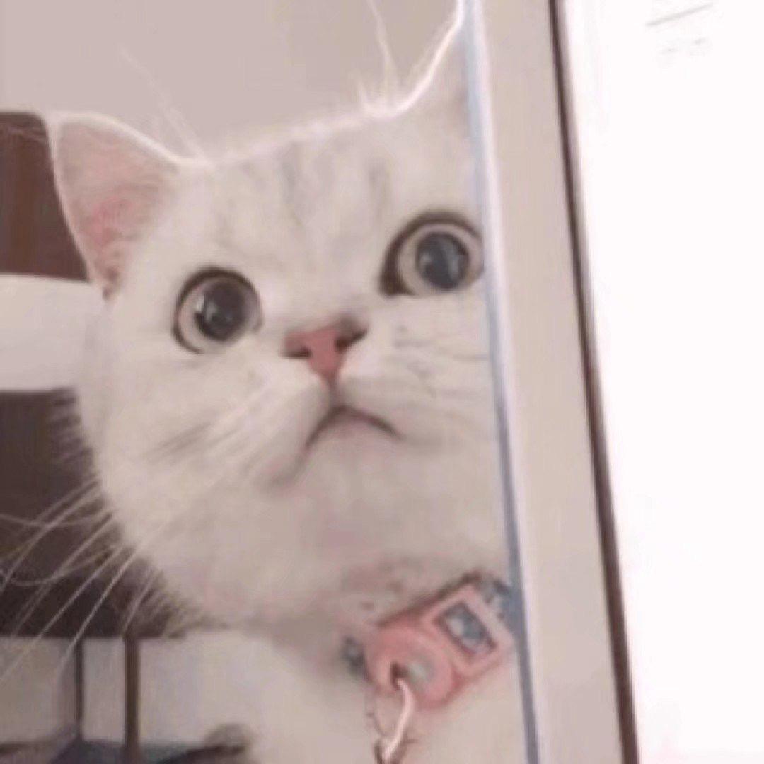 ^_ ^