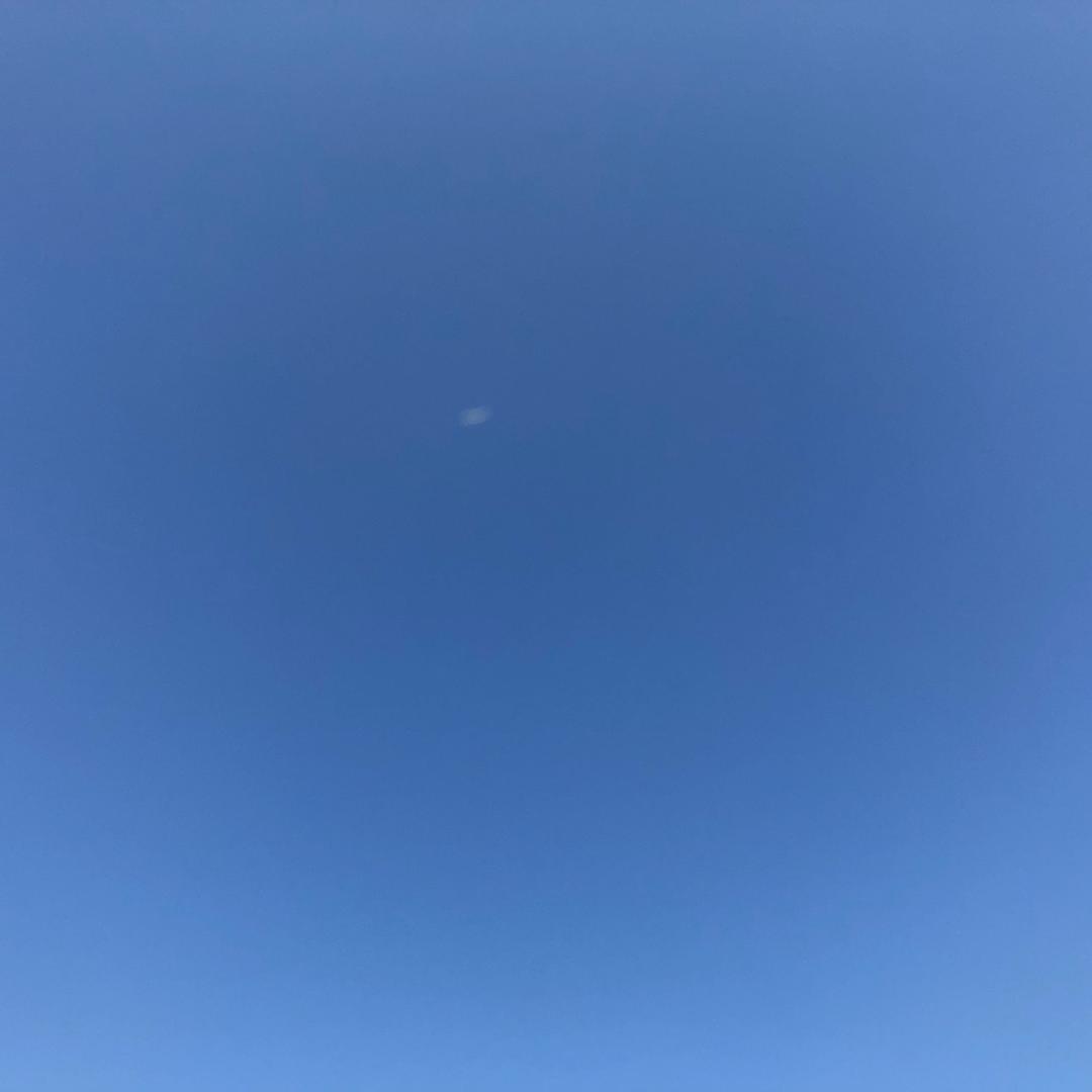 空无一物