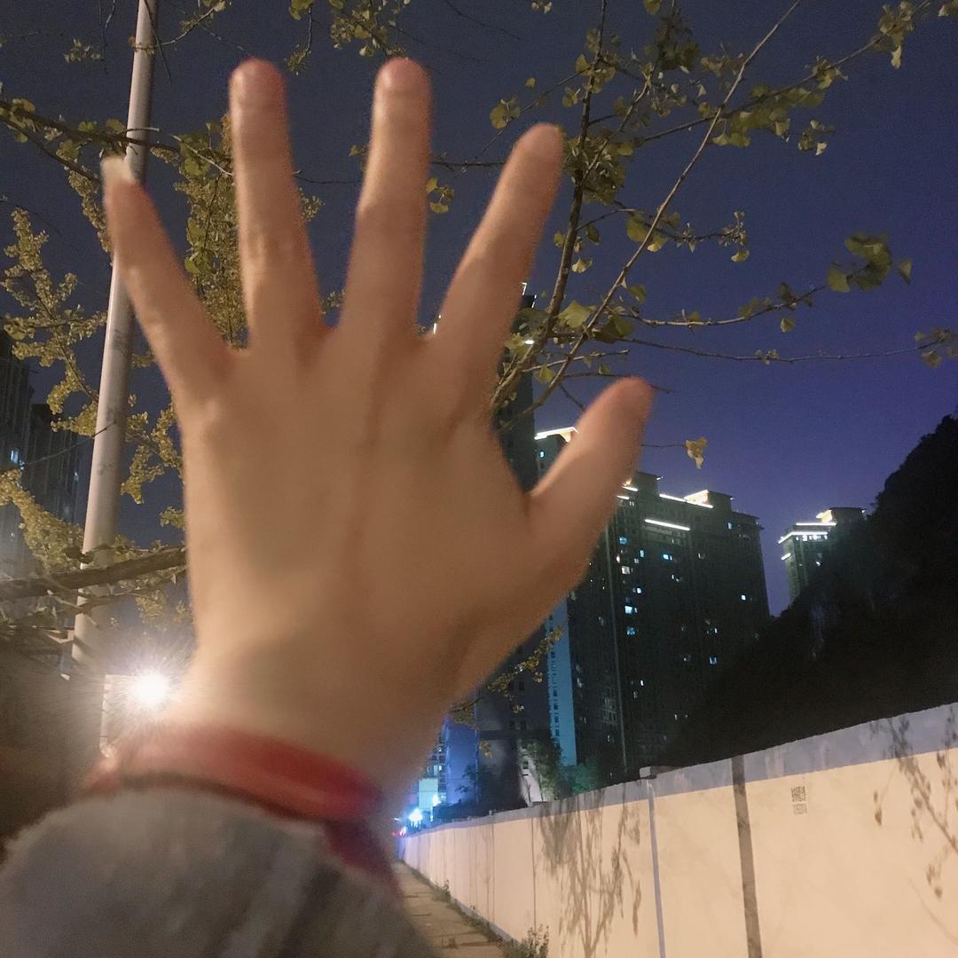 珊瑚