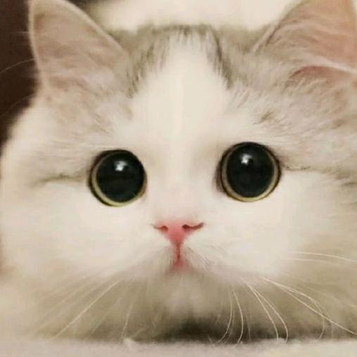 碧