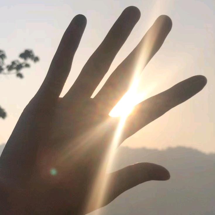 向着太阳🌞迎着光