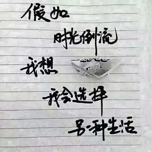 “白马”-军哥