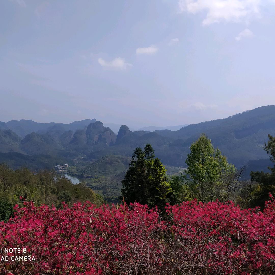 小智