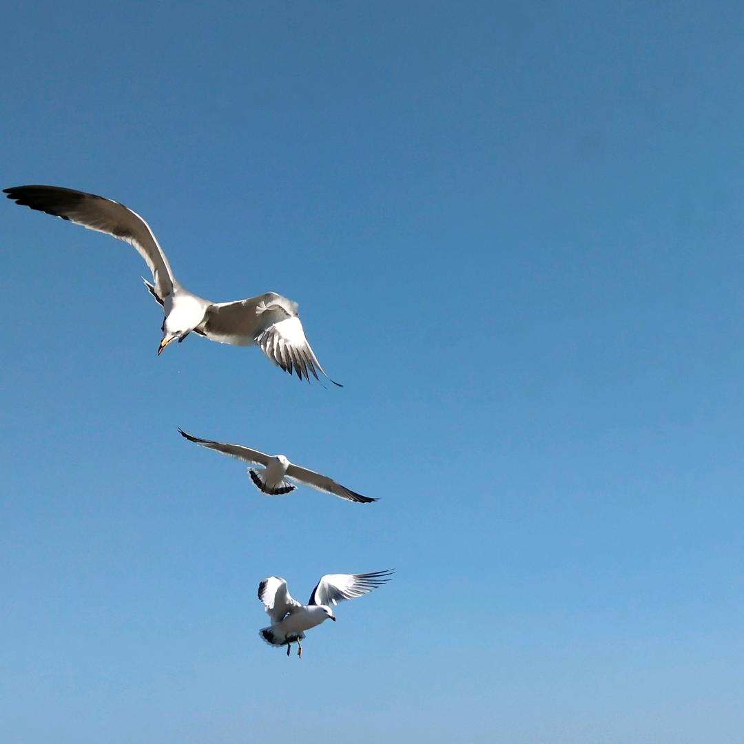 海纳百川