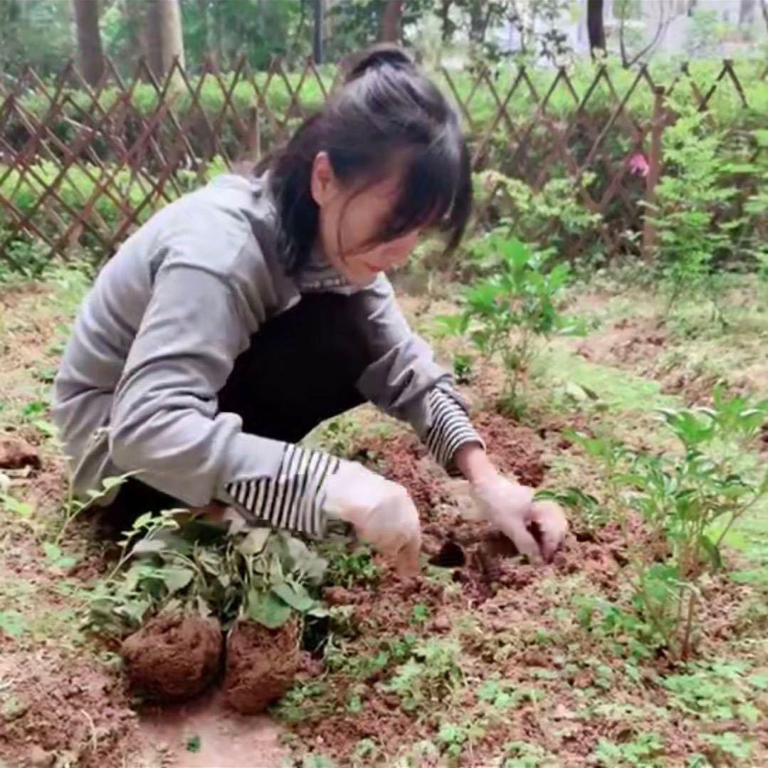 南宫馨儿