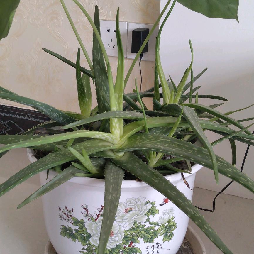 用户微风细雨