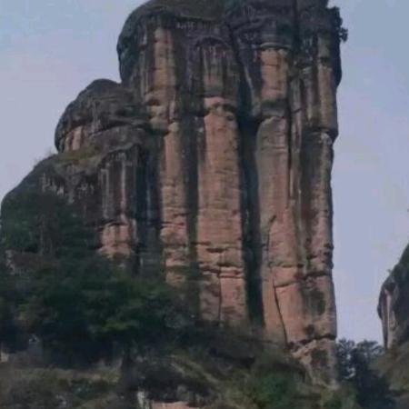 古倜茶叶有限公司