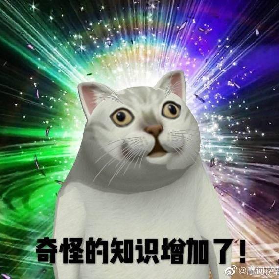转瞬即逝🔥