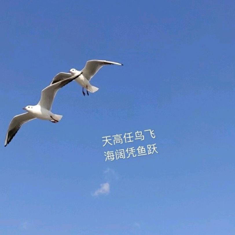 糊糊