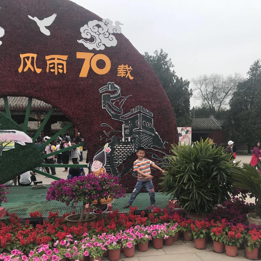 滿園紅