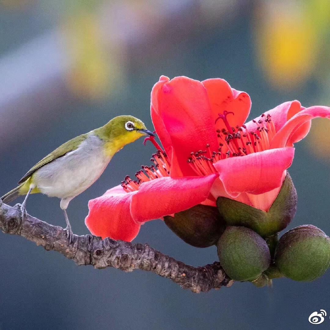 闻香识人