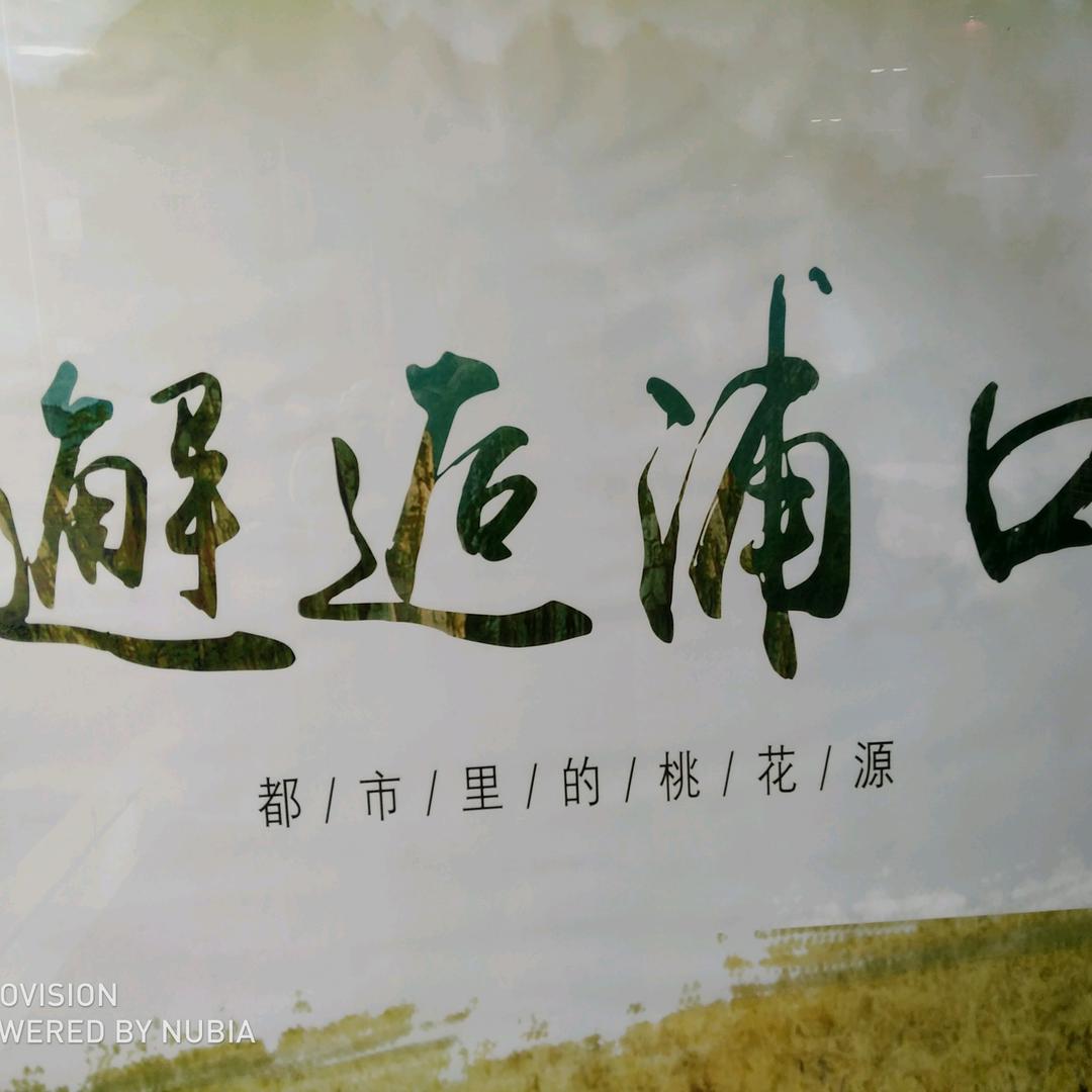 放下屠刀，立地成佛
