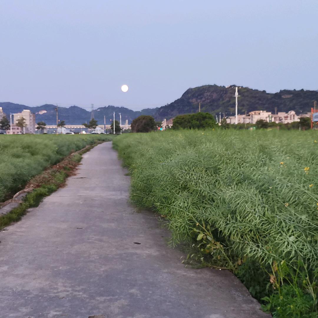 MV.77   心理咨询