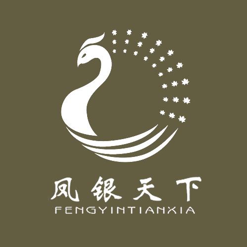 凤银天下