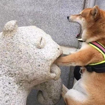 张三少