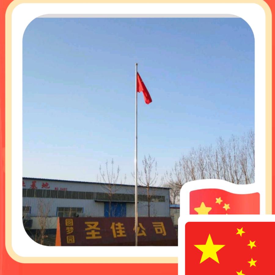 圣佳