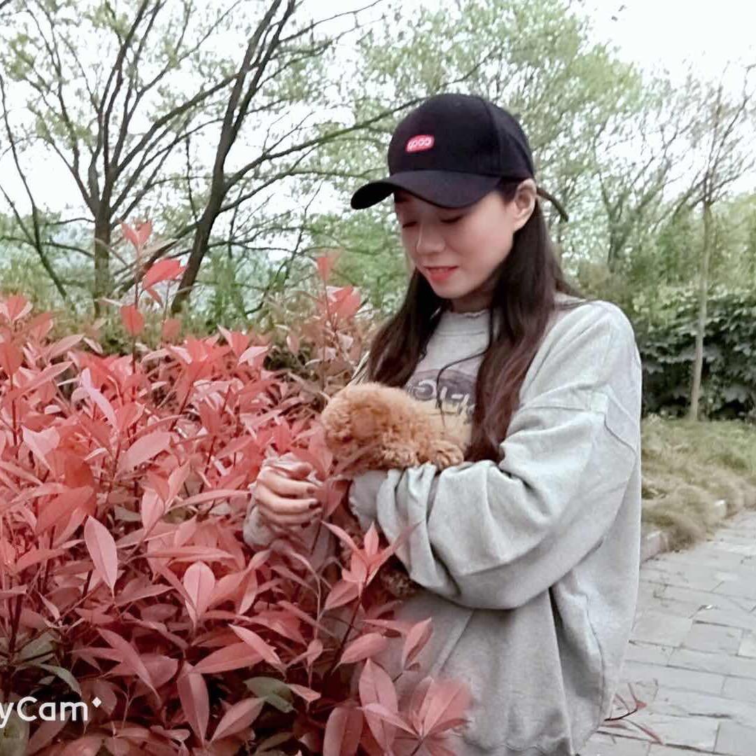 菖蒲星雅艺术