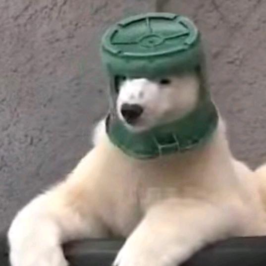 阿九上西楼