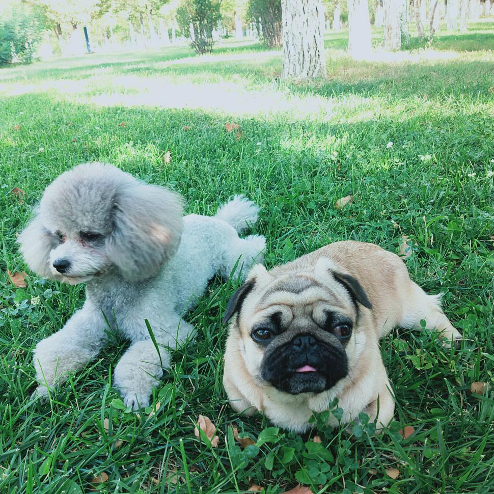 贤🌹荭可爱🌹