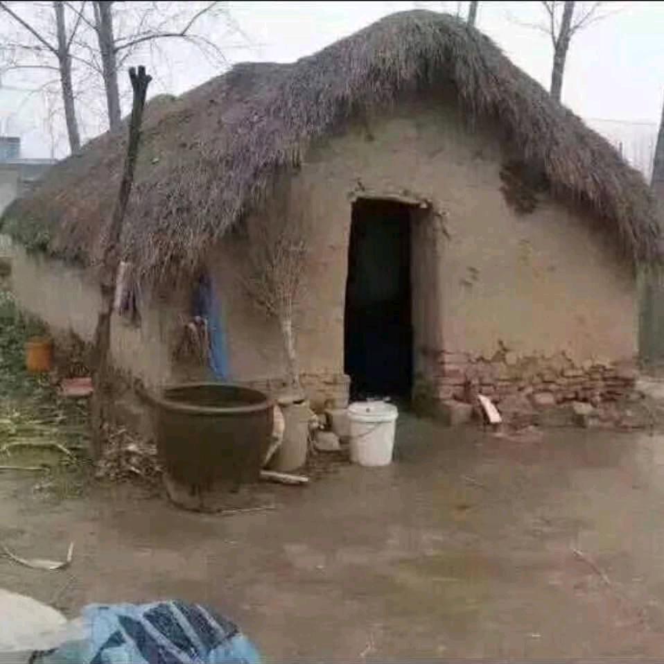 茅草屋农场