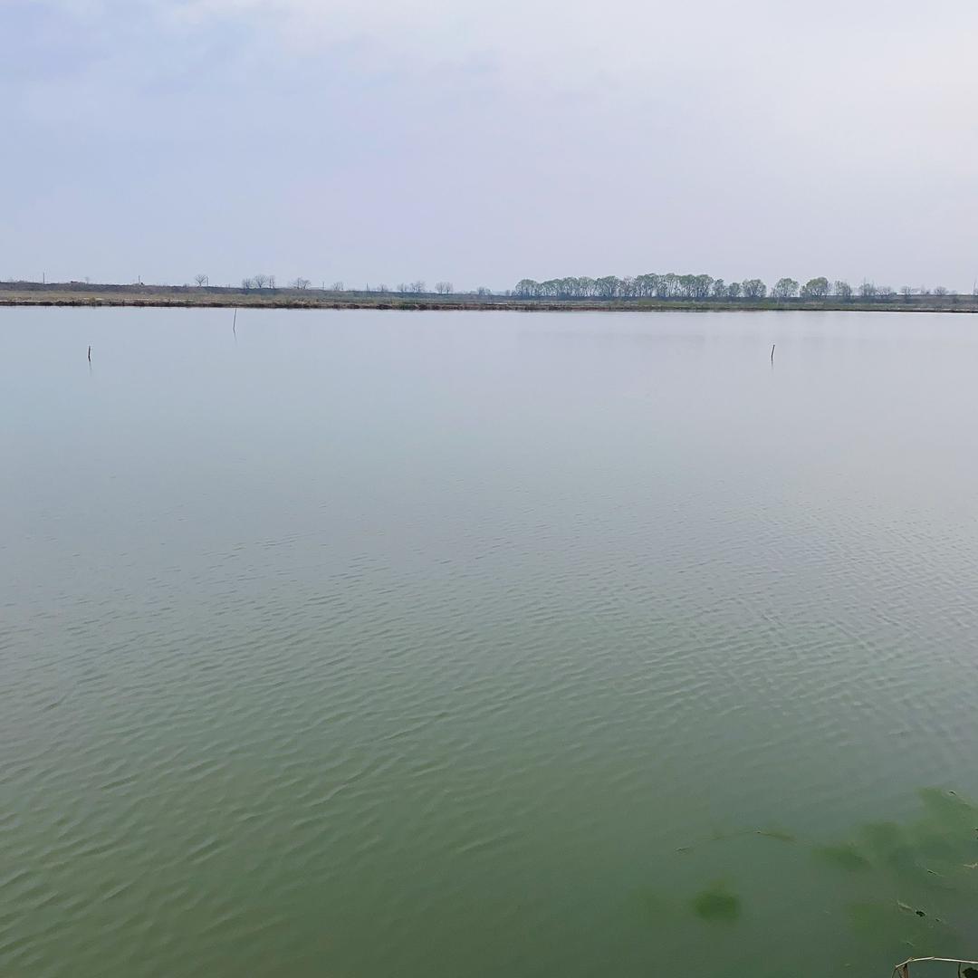 吉运农业吉运农产品