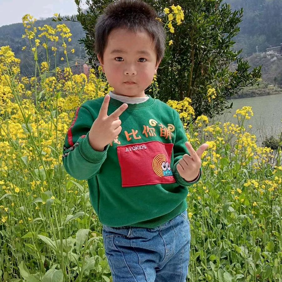 杜哥哥