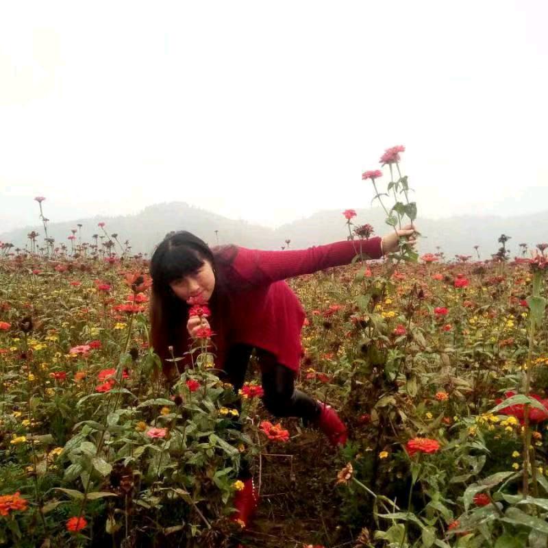 开心快乐每一天