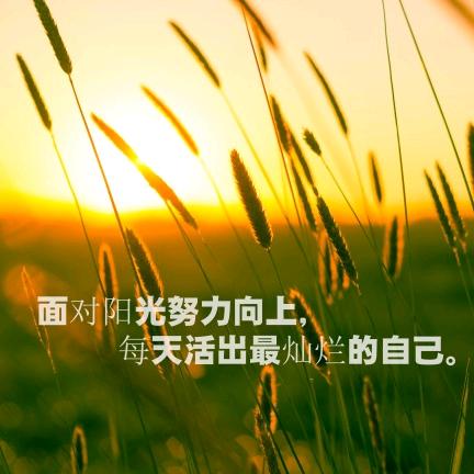 小朱
