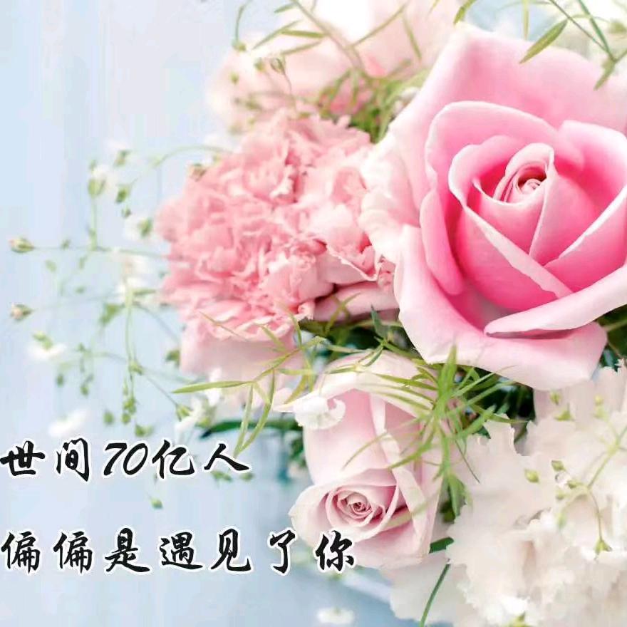 敏敏敏