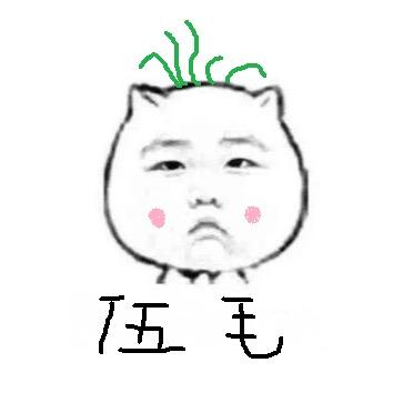 伍毛调音师