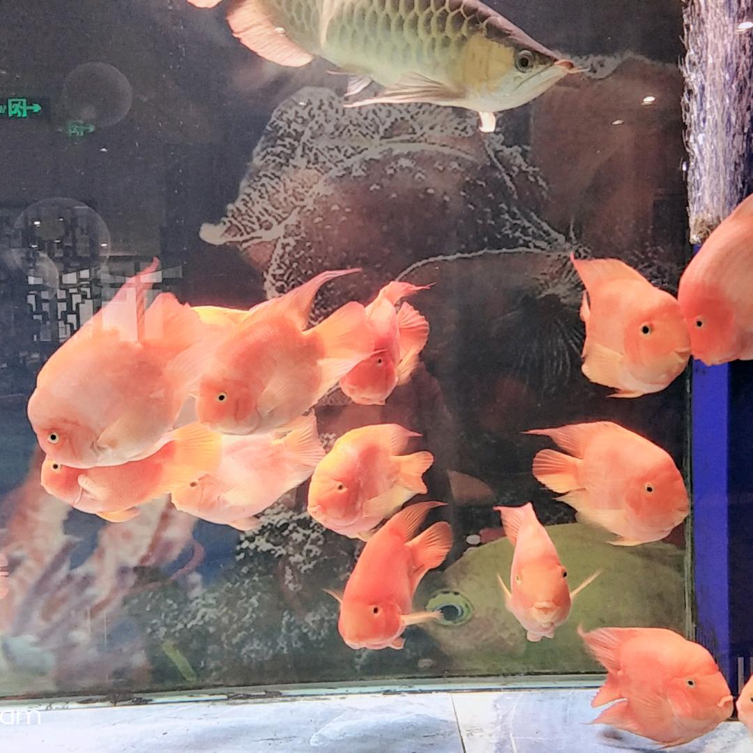 往事随风