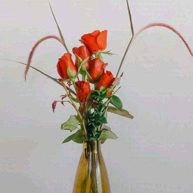 风继续吹，，