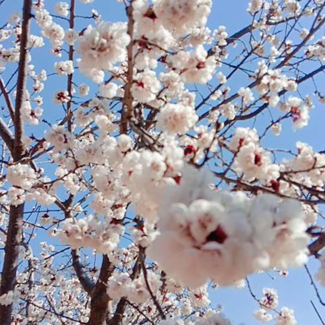 心想事成🏡我是踩不死的蚂蚁