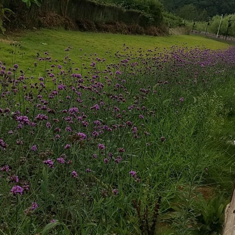 阴天