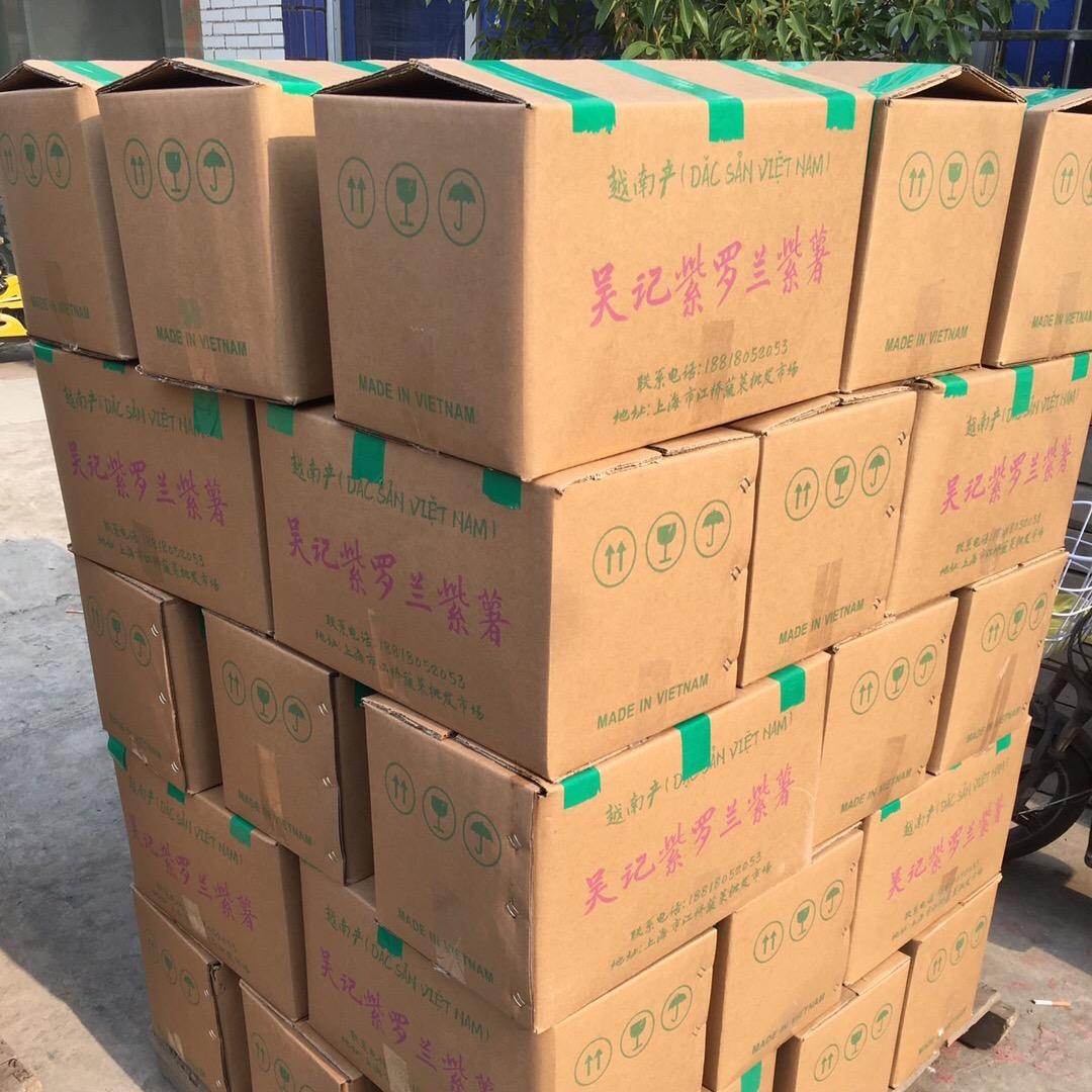 番薯田里的守护者