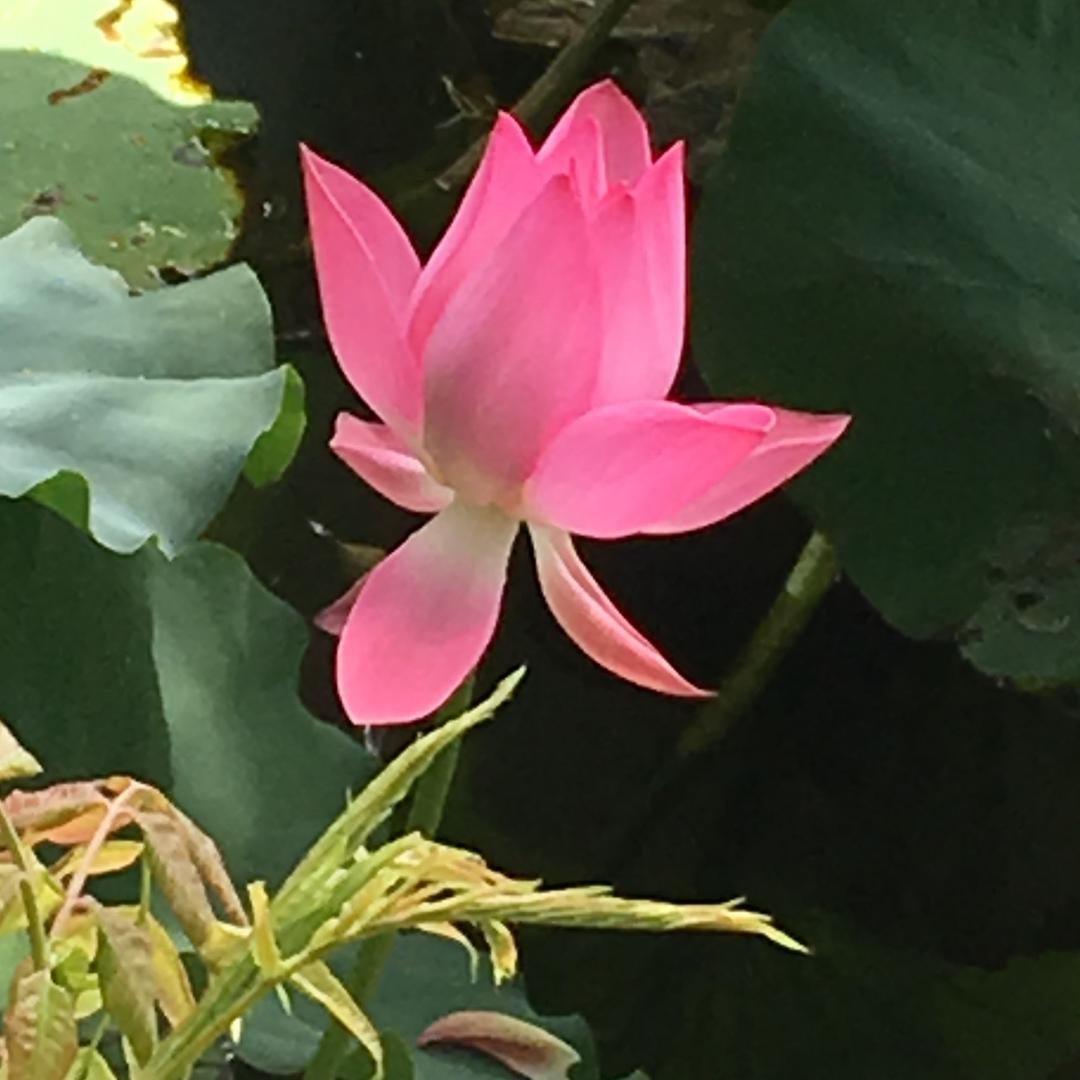 普陀山于导