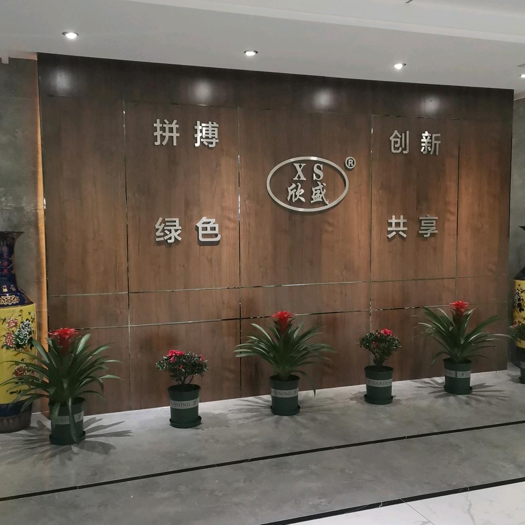 欣盛尚驰科技股份有限公司