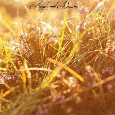 回来了来了看吧