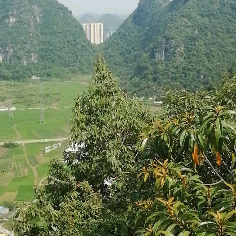 寂寞如歌