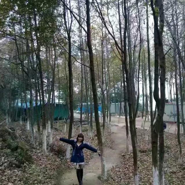 鑫汇……