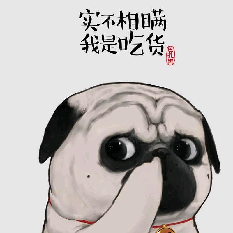 梦幻西游～小黑