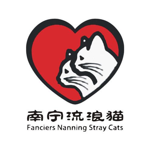 南宁流浪喵