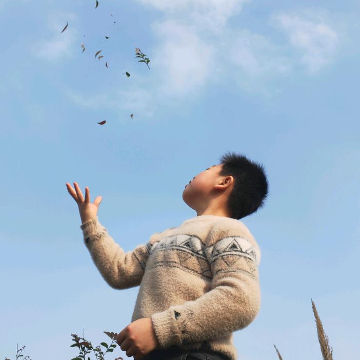 丹