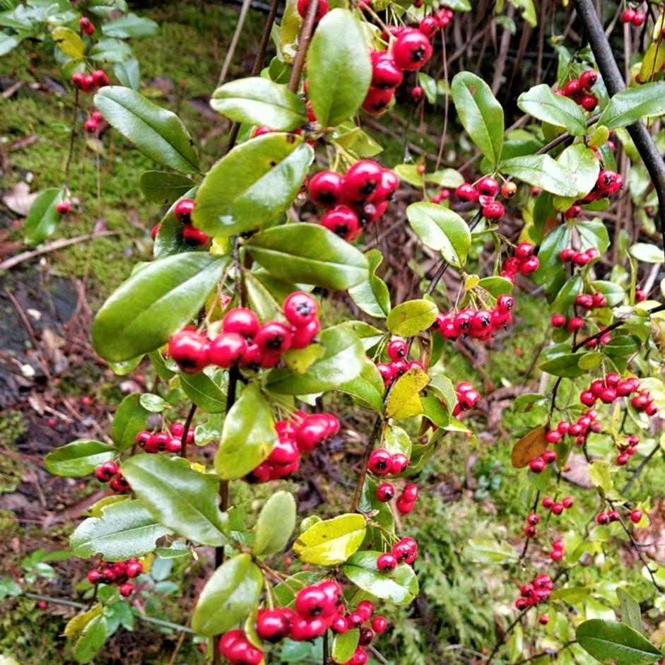 为自己加油🌺🌺🌺🌺🌺🌺🌺