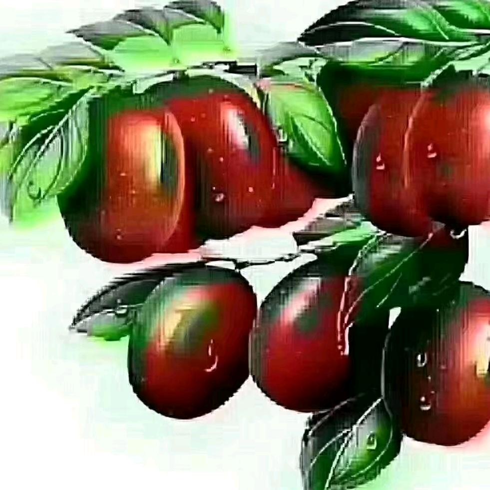frl916823