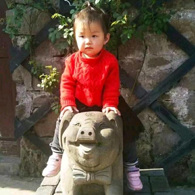 梦想