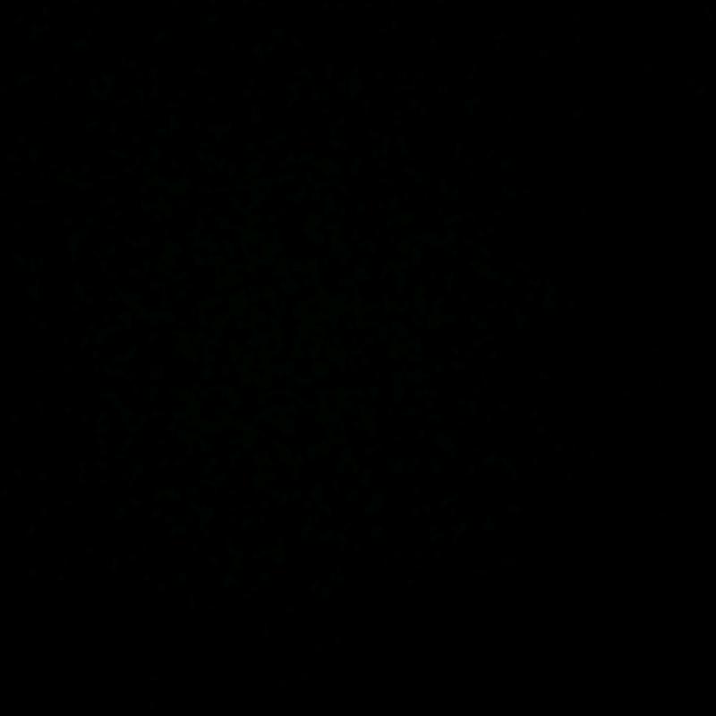 老大婆卢炜灵GY