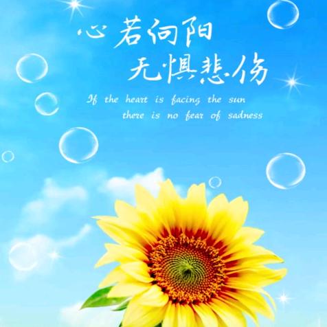 记忆一生一世