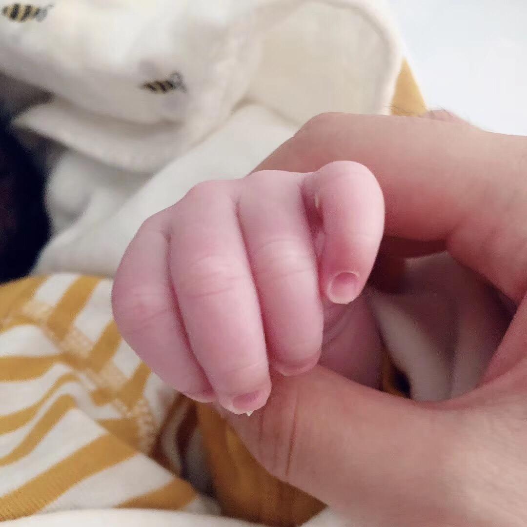 慧眼心动衣屋（枫叶蓝）